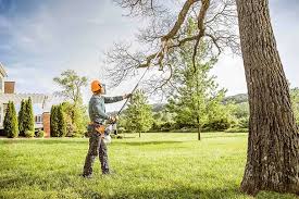 Leaf Removal in Gamerco, NM